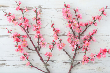 Two spring flowering branches with a lot of pink blossoms on white wooden background.