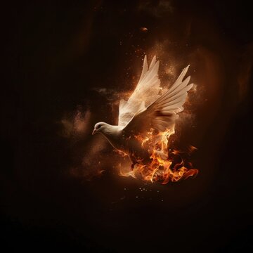 Flying white dove with fire effect on dark background. Symbol of peace. Gifts of holy spirit concept	