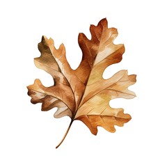 Exquisite watercolor illustration of an autumnal oak leaf in warm golden-brown hues, evoking the serene beauty of the changing seasons