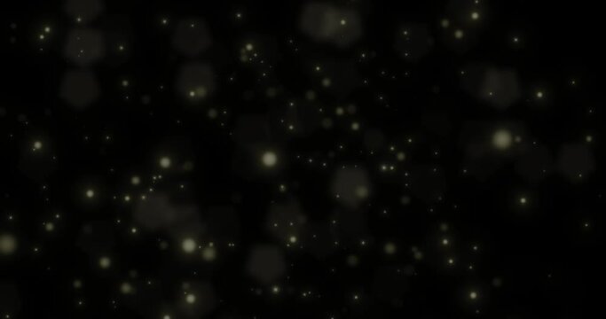 international day of forest concept. trees with fireflies animation. AI generated