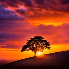 Foto op Plexiglas sunset background with trees in the meadow  © Linggakun