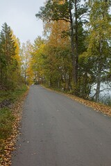 Fototapeta premium Gravel road with leaves on the ground in cloudy autumn weather.