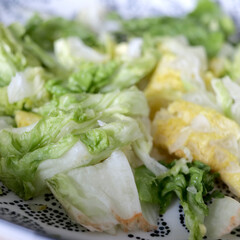 salade verte