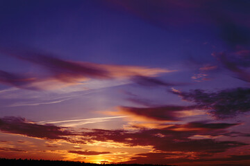 Sunset sky with golden purple clouds, silhouettes of trees below
