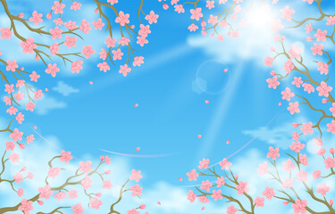Fototapeta na wymiar Summer Peach Cherry Blossom Background