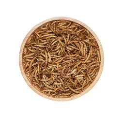 pile of dry beetle worm for animal food feed isolated on white background in wood bowl. flat lay...