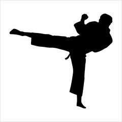 Martial arts silhouette