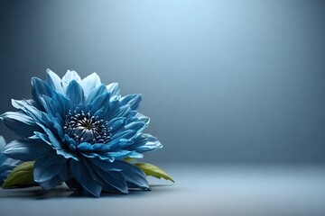 A single blue bloom background with available text space
