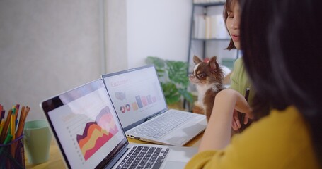 A focused professional asian business woman analyzes data on a laptop with a Chihuahua beside her and discuss with colleague in a vibrant office workspace