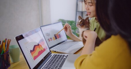 A focused professional asian business woman analyzes data on a laptop with a Chihuahua beside her and discuss with colleague in a vibrant office workspace