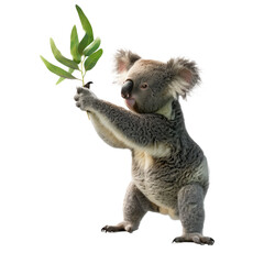 koala in a superhero pose, perhaps holding a eucalyptus leaf as a symbol of rescue.