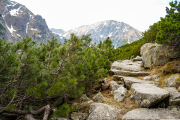 Morskie Oko mountain lake and hiking destination 