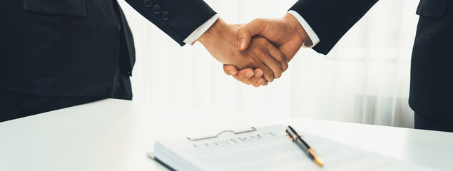 Two business executive shake hand in boardroom, sealing agreement merging two company. Handshake...
