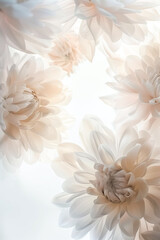 Soft Pastel Floral Illustration on Light Background