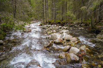 Morskie Oko trail , hike in the Tatras mountains , riverbed
