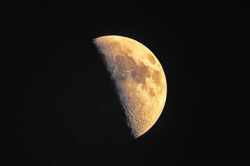 A half moon glows softly in the dark sky, casting a gentle light through the stillness of the night.