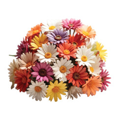 bouquet of multi color daisy  flowers isolated on white 