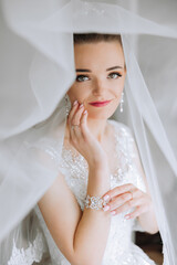Obraz na płótnie Canvas fashion photo of a beautiful bride with dark hair in an elegant wedding dress and stunning makeup in the room on the morning of the wedding. The bride is preparing for the wedding