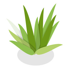 3D Isometric Flat Vector Set of Plants In Pots, Home Indoor Green Decor. Item 11