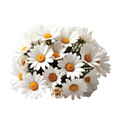 Fototapeta premium bouquet of white color daisies