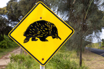 An echidna, Tachyglossus aculeatus, road sign to warn of these native animals in the area. Victoria, Australia.