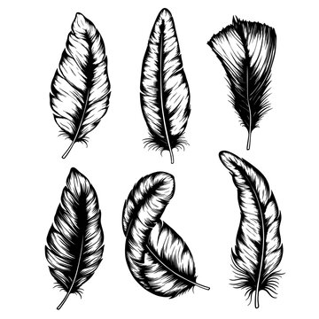 Hand drawn black birds feathers icons set on white background