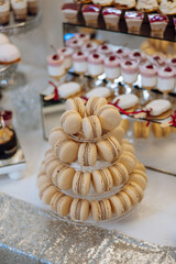 Almond cookies, sweet cakes for a wedding banquet. A delicious reception, a luxurious ceremony. Table with sweets and desserts. Delicious colorful French desserts on a plate or table. Candy bar.