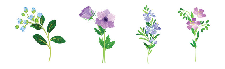 Purple Flowers on Green Stem as Meadow or Field Plant Vector Set - obrazy, fototapety, plakaty