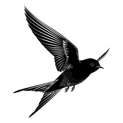 Silhouette swallow bird flaying black color only full body