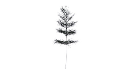 tree side view top dicut png