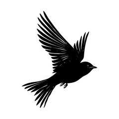 Silhouette swallow bird black color only full body