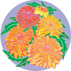 Illustration of Chrysanthemum flower with leaves on soft violet background.