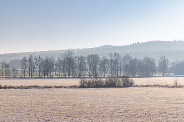 Winter snowy country at sunny day. Region Pilsen in Czech Republic, Europe.