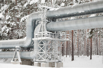 pipeline in winter against the backdrop of a snowy forest