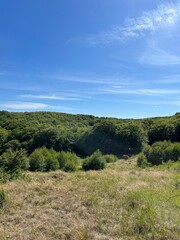 Obraz premium landscape with trees and sky