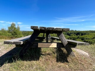 wooden bench in the forest