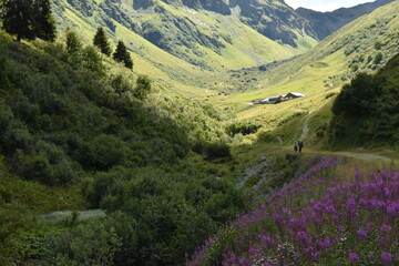 Gravel Road Leading Through the Lush Green Austrian Alps - 740933818
