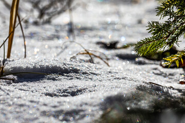 vista macro, dal basso, di un terreno coperto dalla neve, illuminata dal sole, di giorno, in inverno, con sfondo sfocato