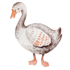 Poultry goose. Watercolor illustration of a bird isolated on a white background. Farm animal silhouette hand drawn. Waterfowl card child character for Easter.