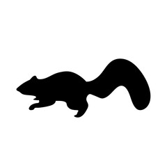 Squirrel Silhouette Vector Illustration