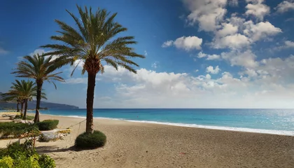 Zelfklevend Fotobehang Urlaub unter Palmen © Gundula