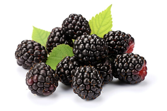 Closeup fresh blackberries fruit isolated on white background сreated with Generative Ai