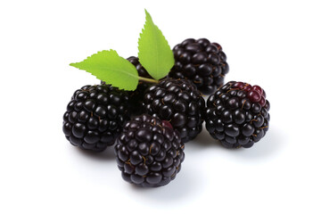 Closeup fresh blackberries fruit isolated on white background сreated with Generative Ai