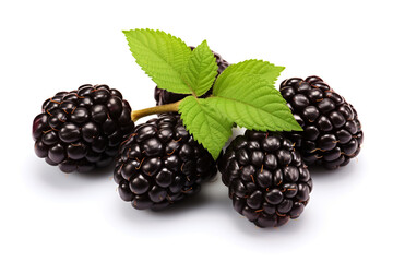 Closeup fresh blackberries fruit isolated on white background сreated with Generative Ai