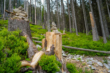 balanced stones art in the Tatras mountains forest