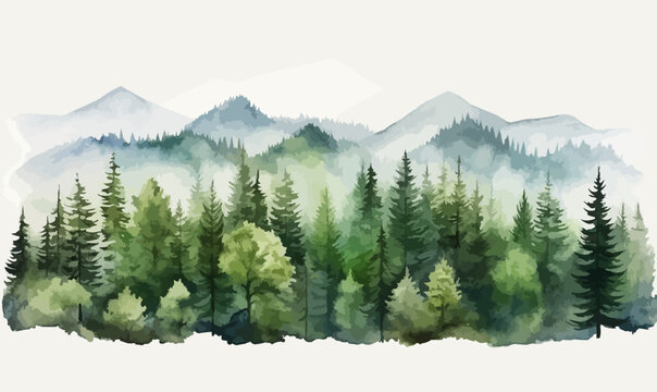 Forrest landscape with grass, nature inspired eco vector illustration