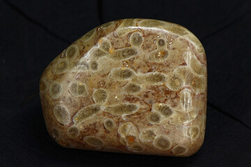 Colonial coral processed and polished in the form of pebbles on a dark background