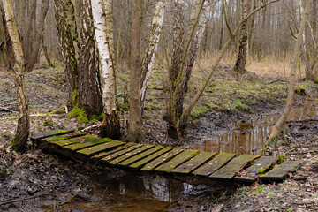 Drewniana kładka mostek na leśnym strumieniu