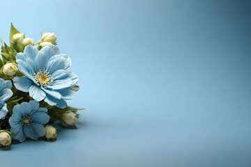 Background of Baby blue one flower with empty space for tex