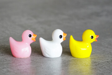 Various colors miniature toy ducklings in a row, diversity, equality and inclusion concept